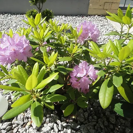 Am Sonnenberg 3*